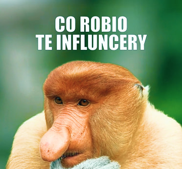Co robio te influencery